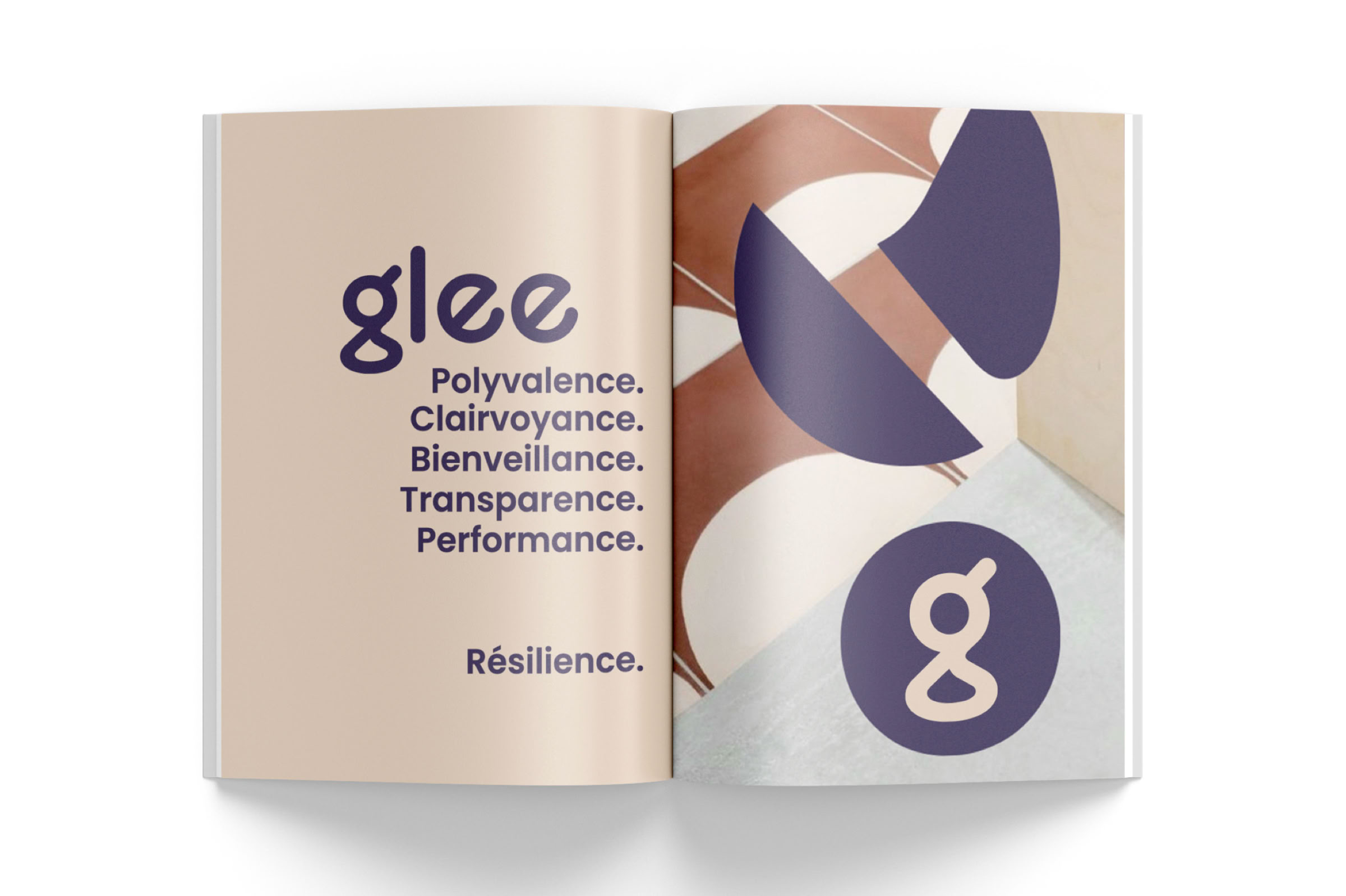 Creation of brand strategies with singular design territories. 
