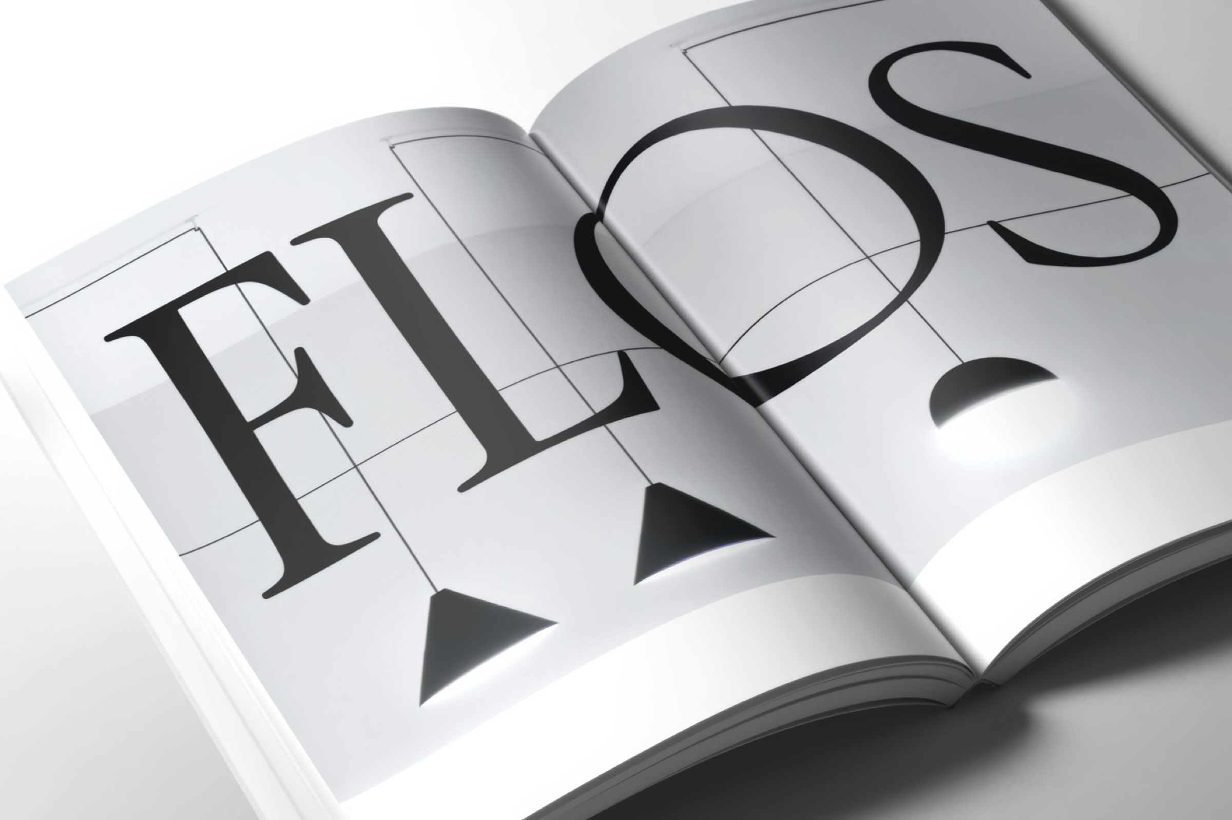 Creation of brand strategies with singular design territories.